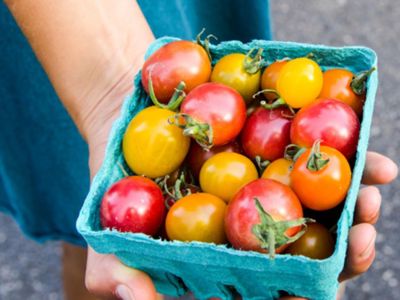 Best Orange County Farmers Markets